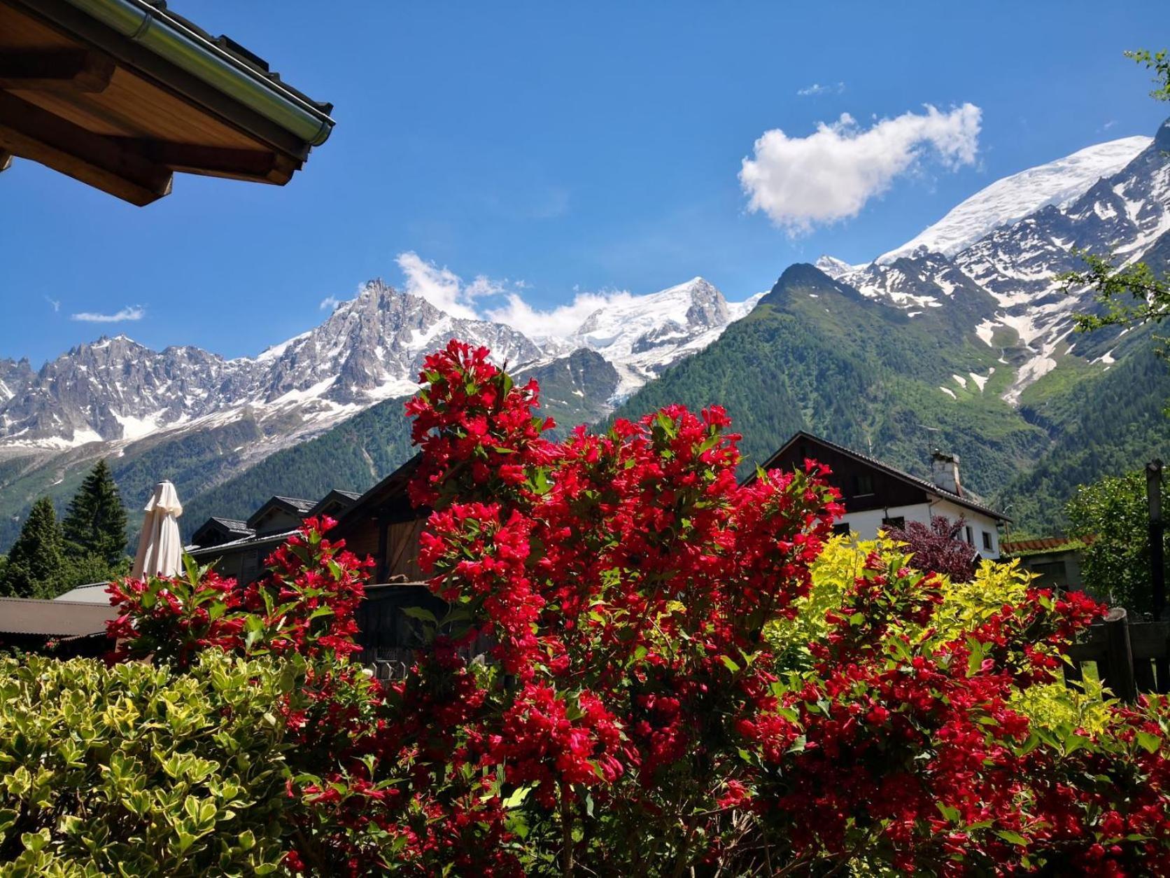 Les Chalets du Bonheur Les Houches Eksteriør billede